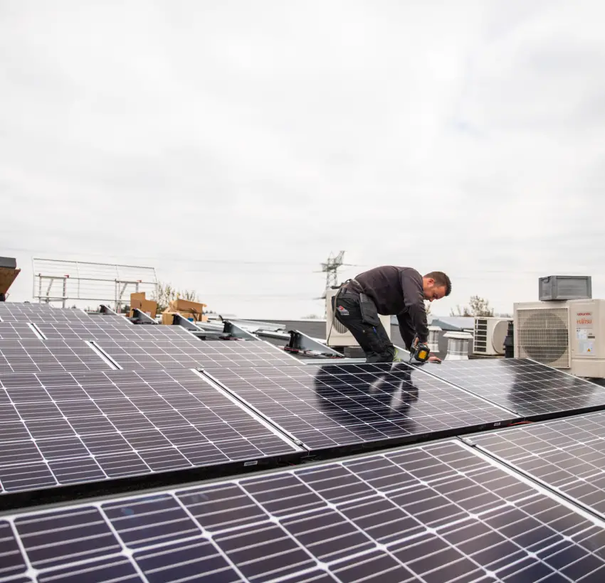 24 panelen internet bedrijf