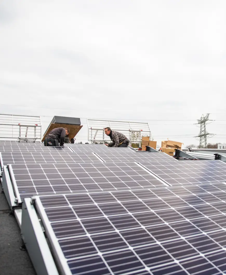 24 panelen internet bedrijf