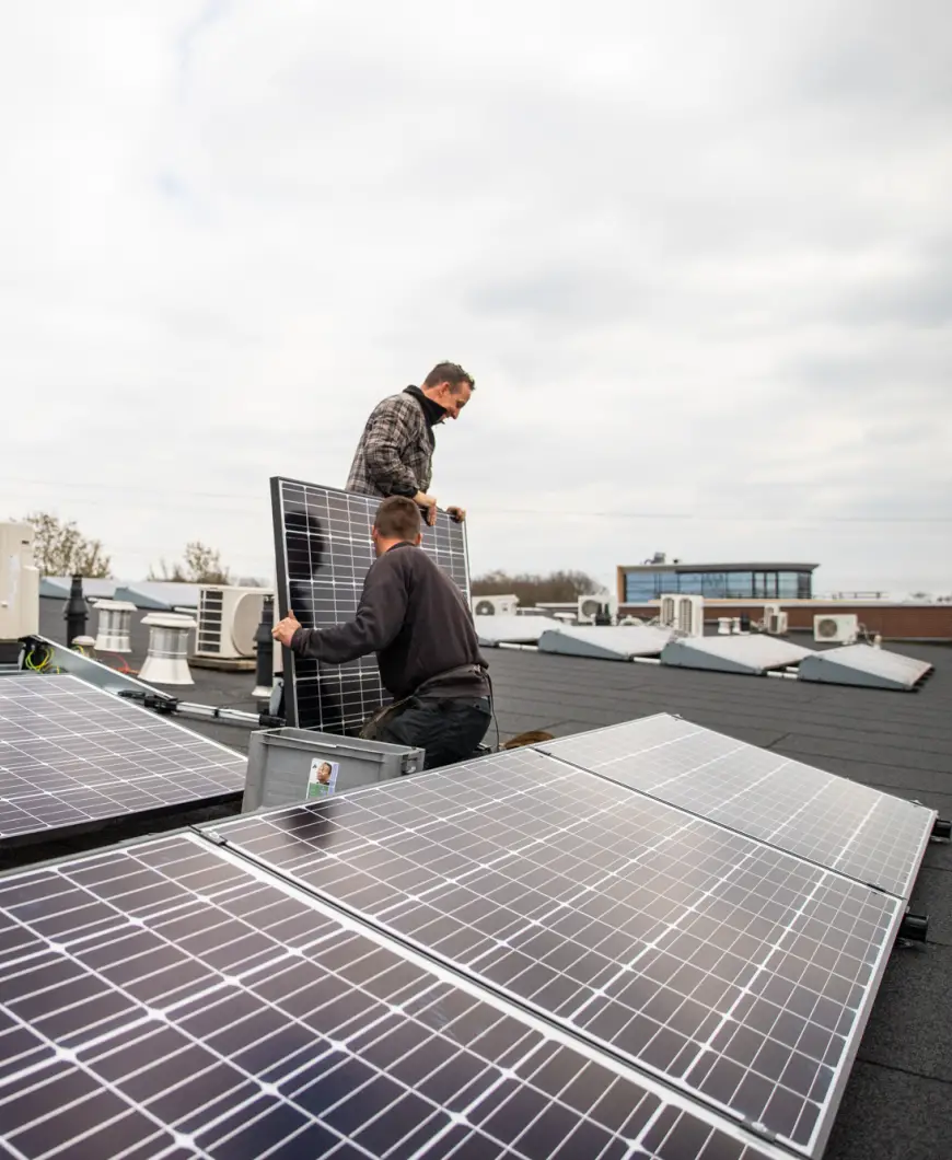 24 panelen internet bedrijf
