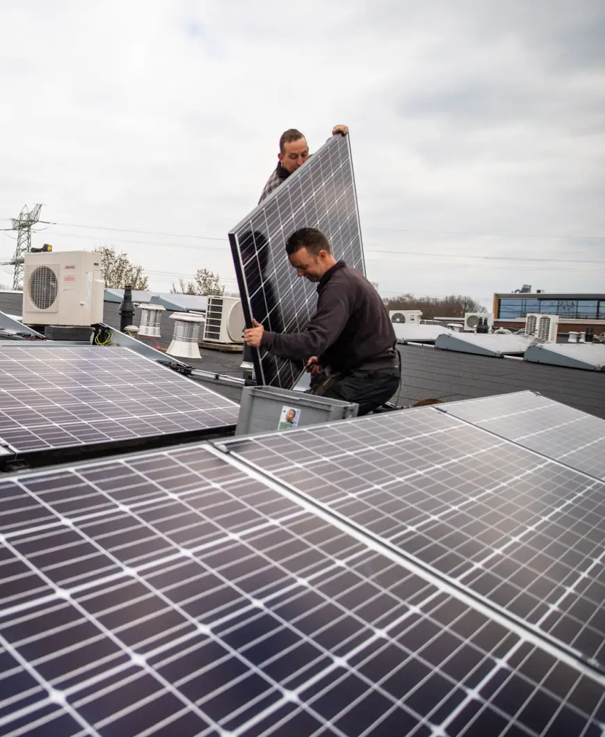 24 panelen internet bedrijf